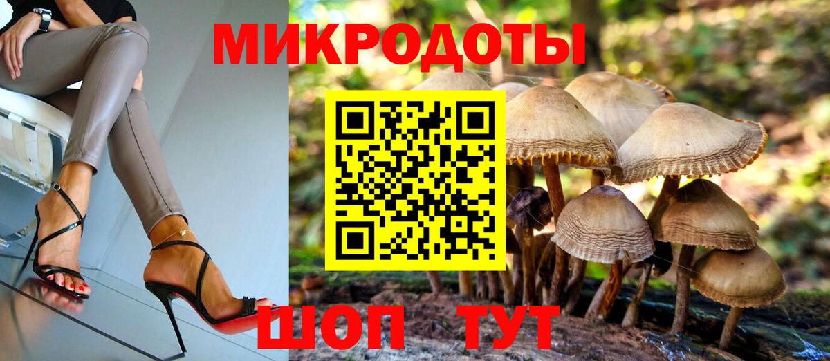 Галлюциногенные грибы Psilocybine cubensis  Вход с VPN  Тула 