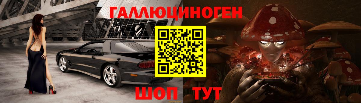 Галлюциногенные грибы Psilocybe Тула